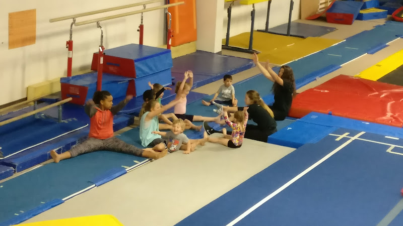 Blenheim-Kent Golden Eagles Gymnastic Club in Blenheim