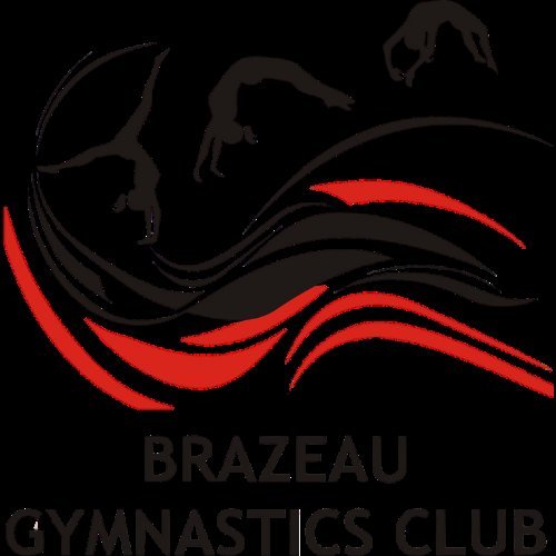 Brazeau Gymnastics Club in Poplar Ridge