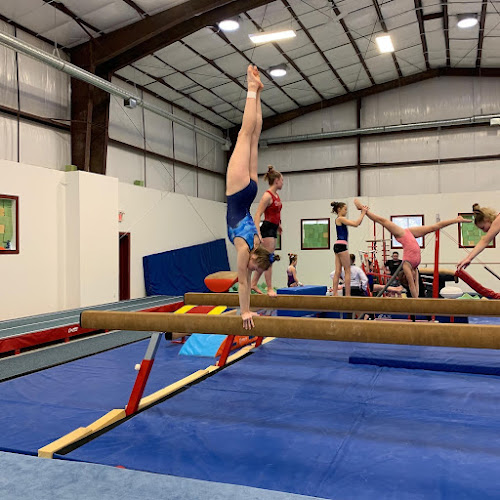Dreams Gymnastics Academy in Edmonton