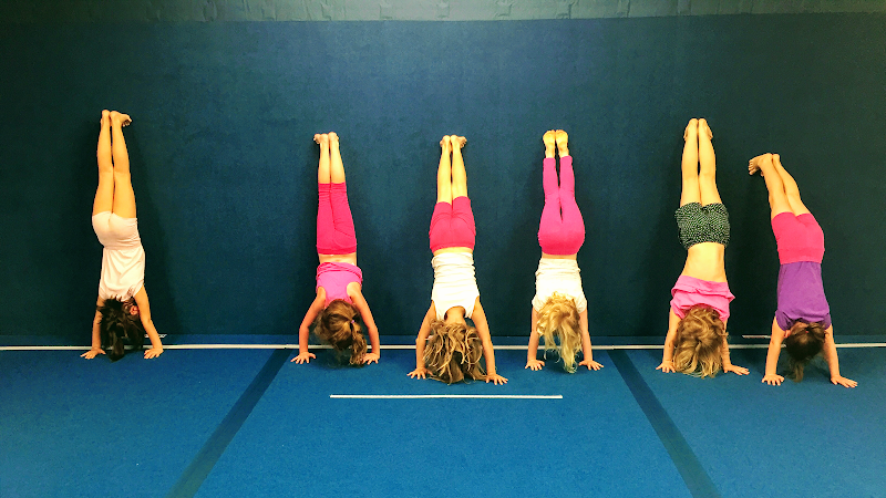 High Junction Gymnastics Inc in Toronto
