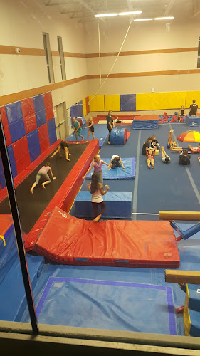 Langley Gymnastics Foundation in Langley Twp