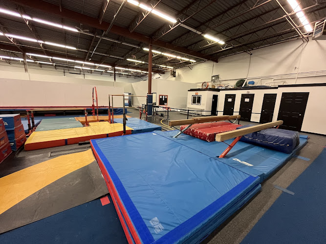 LVX Gymnastics in Greater Sudbury