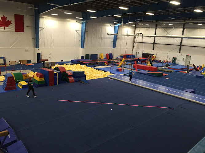 North Edmonton Gymnastics Club in Edmonton