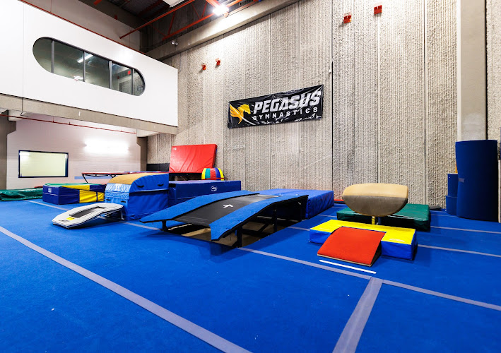 Pegasus Gymnastics West in Calgary