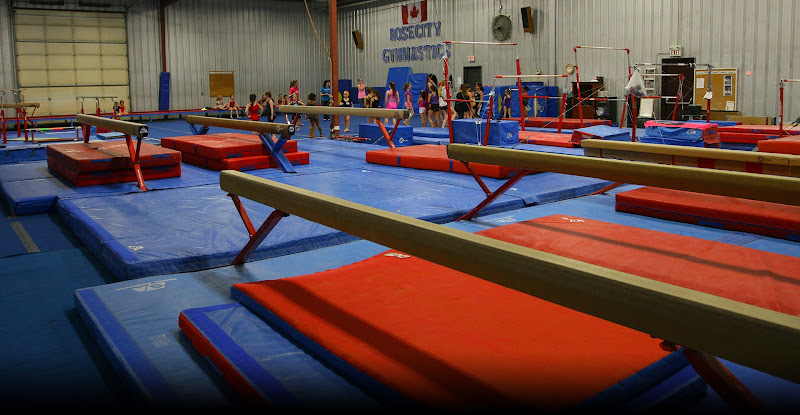 Rose City Gymnastics Inc in Windsor