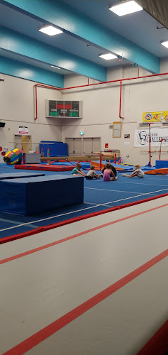 Selkirk Challengers Gymnastics Club in Castlegar