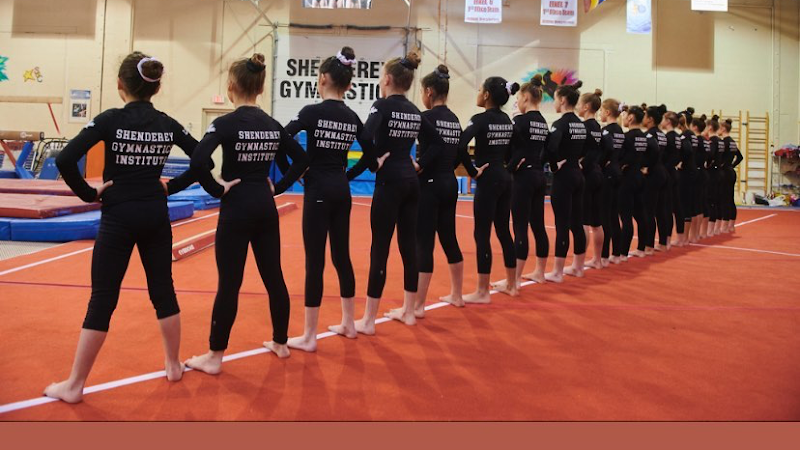 Shenderey Gymnastics in Newmarket