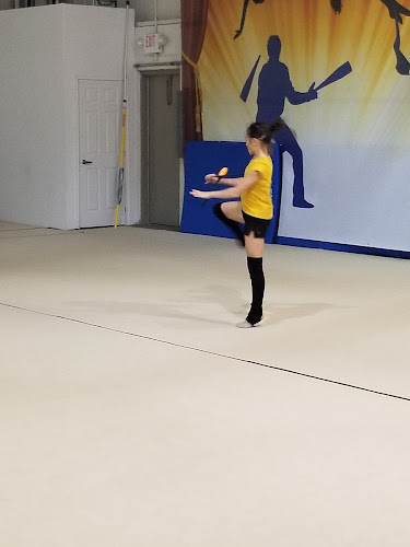 Silhouettes of York Rhythmic Gymnastics Club in Newmarket
