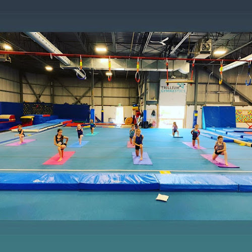 Trillium Gymnastics in Kingston