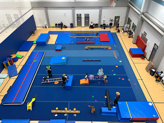 Valleyview Gymnastics Club in Valleyview