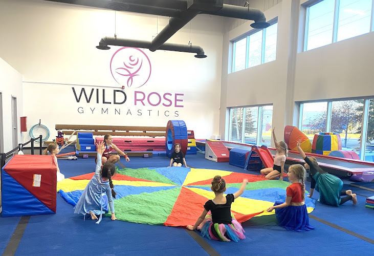 Wild Rose Gymnastics in Edmonton