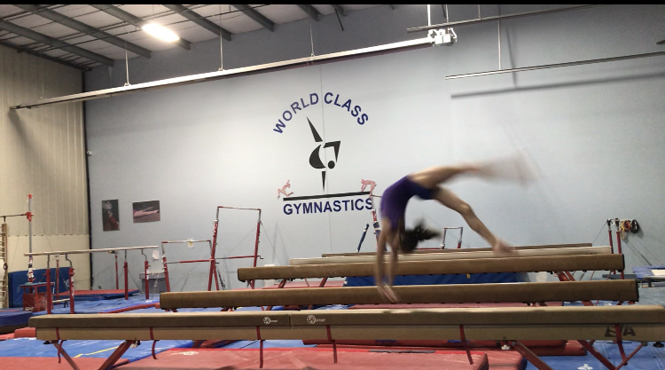 World Class Gymnastics in Hamilton